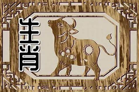 85年生肖|85年属什么的生肖 1985年属什么生肖多大